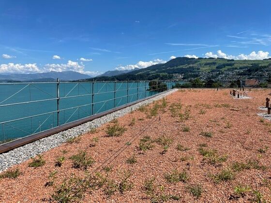 SAFSYS_Höhensicherung_Foto_08 SAFSYS_Höhensicherung_Foto_08